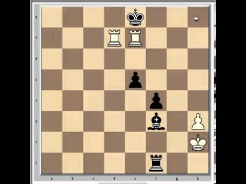 chess tactics chess tactics