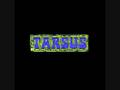 Never Too Late-Tarsus