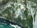 bungy jumping accident