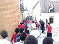 Vaca enmaromada Palazuelo de vedija