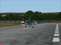 FA-18E Drunk Pilot