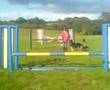 Show Jumping Dog..//
