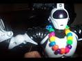 Roboraptor friends and my pet cat! Roboraptor friends and my pet cat!