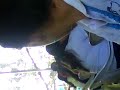 las marranadas de chabelo