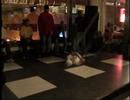 b-boy @ zulu nation anniversary