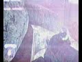 halo 2 : sputnick skull