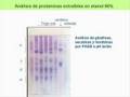 Enfermedad celiaca Deteccion Gluten Chirdo 1