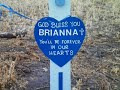 RIP Brianna Dennison(Renos Child)