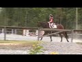 horseback riding lesson