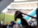 racing belgrano 8