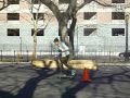 NYCS (skate crew)