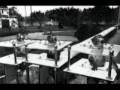 Spot Anti Vivisezione by Philozei - Flixster Video