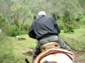 Horseback riding in Lagunas de Zempoala