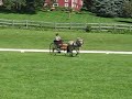 CDE GMHA Vivian Creigh and Winona dressage