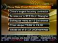 Gain On Chinese Initial Public Offering - Bloomberg