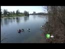 Volunteers Beautify Blighted River Areas