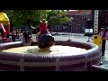 Rodeostier Try-out Oostburg
