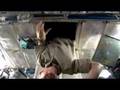 Life In Orbit