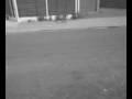 videos de Me and my friends JFK verison