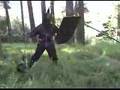 Fingolfin verses Morgoth