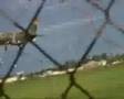 ESPORTES RADICAIS (VÍDEO)