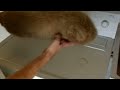 DIY Do it yourself Zeppelin Windscreen audio test tutorial