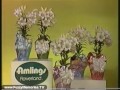 Amlings Flowerland - \"Easter Specials\" (Commercial, 1984)