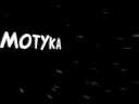 Typografia kinetyczna