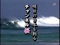 「河野洋平、強制の根拠を説明しろ！！」(H19.2.20)