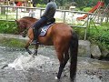 Bambounet dans l\