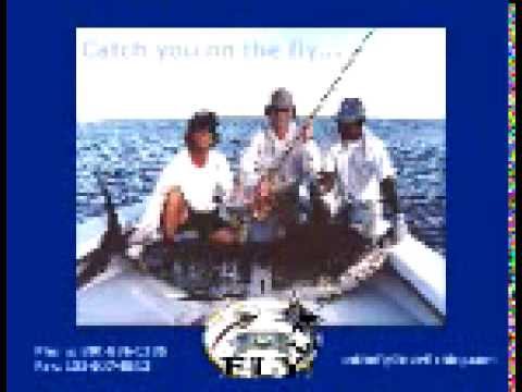 Blue Marlin Caught Fly Fishing