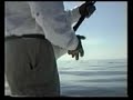 Blue Marlin Caught Fly Fishing Blue Marlin Caught Fly Fishing