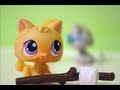 Littlest Pet Shop: The Summer Camp: Part 1