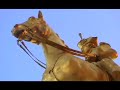 Philadelphia-A-video