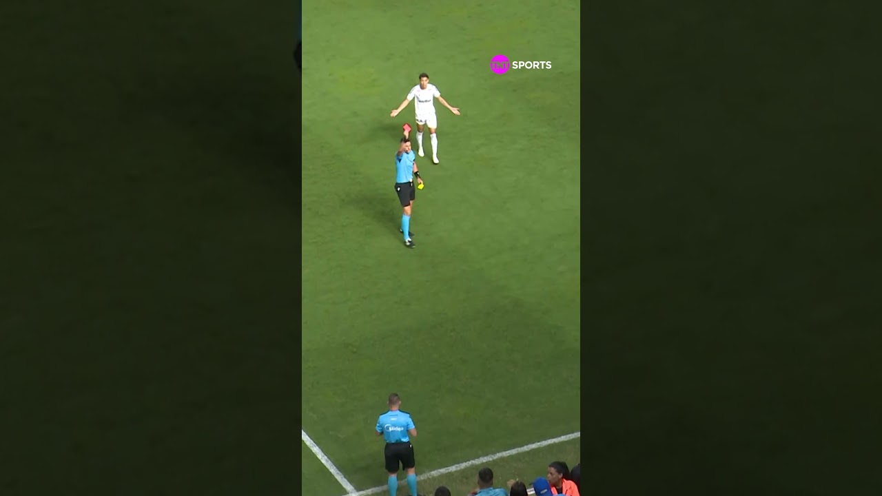VERMELHO PRO CUCA! O TÉCNICO DO SANTOS FOI EXPULSO DEPOIS DA ANULAÇÃO DO GOL DO SEU TIME #shorts