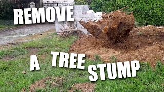The way to remove a tree stump