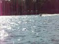 Jersey Speed Skiff