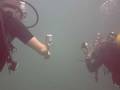 12 Meter Scuba Dive Cayo Coco Cuba Beach