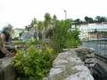 2 Days in Torquay