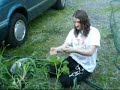 Plant Encyclepedia