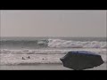 Rincon Dolphin