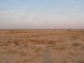 videos de 砂漠より／From a desert