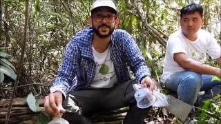 Besouros rola-bosta - Rede Amazônia Sustentável