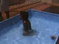 MINHA PISCINA