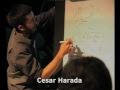 Test_lab: What Crisis?!: Cesar Harada