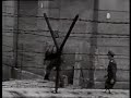 Rise and fall of the Berlin wall