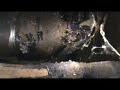 carpenter ant treatment in langdale bc by the experts at innovative