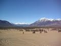 The Smallest Desert in the World, Yukon Territory, Canada  Yukon Territory Canada