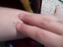 Finger wars Finger wars