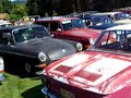 vw-type3-invasion.html